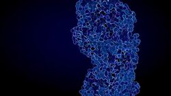 Cells Multiplying Or Mitosis Stock Footage