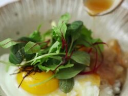 ECU PAN Shot of adding sesame oil into bibimbap (Korea's traditional food) / Seoul, South Korea Stock Footage