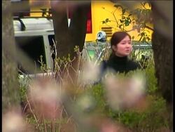 Cherry blossom flowers have begun to bloom in Tokyo. Cherry blossom is considered a special flower for the Japanese people. It symbolises the arrival of spring as well as the start of the party season. Instructional Video