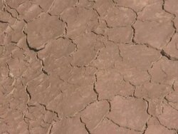 Soil Cracks (HD) Stock Footage