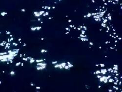 Water background with ripples. Progressive frames Stock Footage