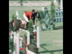 SYND 8 5 71 SHOW JUMPING IN ROME News Clip