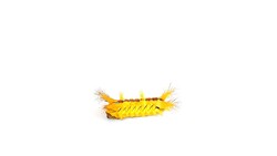 Yellow caterpillar Stock Footage