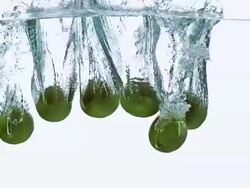 CU SLO MO Shot of Green Lemons, citrus aurantifolia, Fruits falling into Water and splashing against White Background / Calvados, Normandy, France Stock Footage