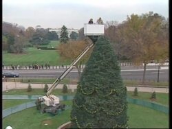 USA: WASHINGTON: TIPPER GORE PLACES STAR ON TOP OF NATIONAL XMAS TREE Instructional Video