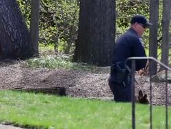 Tracking mid shot of police officer with search do Stock Footage