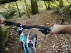 CU POV Shot of mountain bike rider inside Villa Ada park along mountain bike track / Rome, Italy Stock Footage