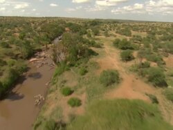 Maasai or Samburu Low aerial track along river Stock Footage