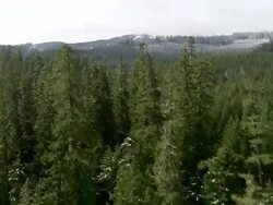  WS AERIAL View of Willamette National Forest in snow / Oregon, United States Stock Footage