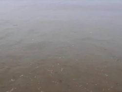 North Sea beach, early morning, waves splashing towards camera Stock Footage
