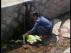 NORTH KOREA: US WILL NOT CONSIDER DEMAND FOR FOOD AID News Clip