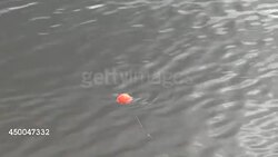 Anonymous Person Fishing in a River News Clip