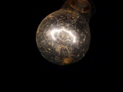 Attraction to light Stock Footage