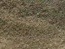 Close Up High Angle Slow Motion - Pale grains of sand blow and tumble in the wind on a sand dune / Costa Rica Stock Footage