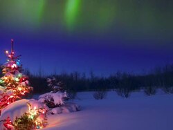 Christmas tree glowing outdoors Under the Northern Lights Stock Footage
