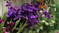 Flowers in florist News Clip