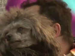 Gay Marriage Supporters Rally Against DOMA Stock Footage