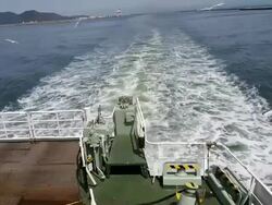 Ferry Moving And Seagulls flying Stock Footage