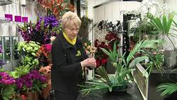 Florist arranging flowers News Clip
