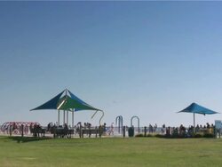 Summer Landscape. City park. Recreational area. Sporting activity. People relaxing. Stock Footage