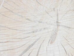 LOG BIRCH TREE BRIGHT- expanding flow from the center. (loop) Stock Footage