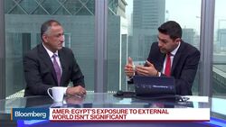 Egypt's Amer Says Egypt Is Growing at 4.9% News Clip