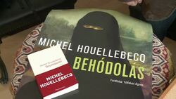 CLEAN : Front cover of Houellebecq's new book causes stir News Clip