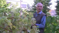 VOICED : Bordeaux couple lead News Clip