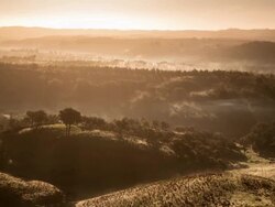 Misty countryside early morning Stock Footage