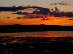 Sunset Stock Footage