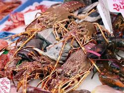 Lobsters / Crabs / crawfish - Seafood Market Stock Footage
