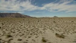 Desert shrubs dot the Baja California Desert in Mexico. Stock Footage
