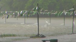 Authorities warned Wednesday that as Tropical Depression Bill moves northeast, already swollen rivers could overflow their banks and cause more problems. (June 17) Instructional Video