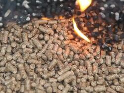 Wood Pellets Burn as an Alternative Heat Source Stock Footage