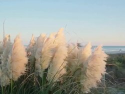 Sun setting on the North Carolina coast Stock Footage