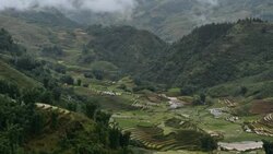 terraced rice field in Sapa, Vietnam Stock Footage