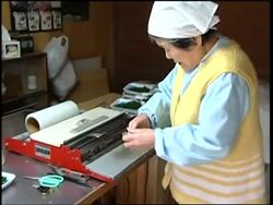 Japan's aging population is finding new ways of getting back to work News Clip