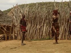 Hamer tribe- women provoke a young man at the whipping ceremony, Hamer tribe, Ethiopia. Stock Footage