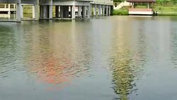 water in the park Stock Footage