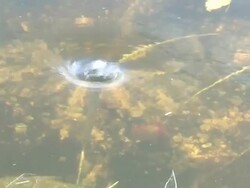 Vortex 3 Stock Footage