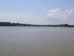Idyllic Scenes From A Boat Ride Across The Amazon Stock Footage