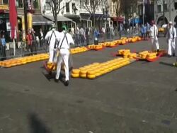 Men carrying large cheese rounds in historical cheese market, Alkmaar, Holland Stock Footage