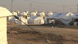 Report: 2 in 5 refugees from Arab region Instructional Video