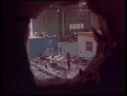 Various - Trade Ban On Ivory Saving The Elephants Instructional Video