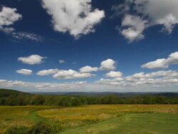 wide field with golden rod and clouds Stock Footage