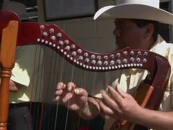 MS Musician in cowboy hat playing the harp / Bogota, Colombia Stock Footage