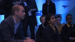 Prince William attends Blue Planet II premiere News Clip