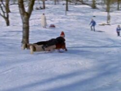 Sledding in Central Park Stock Footage