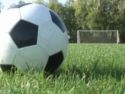 Soccer ball on a football field while people play Stock Footage
