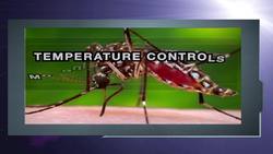 NSF SCIENCE NOW: EPISODE 52 Instructional Video